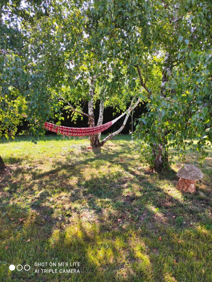 Les Pitchounettes Hotel Sorèze Екстериор снимка